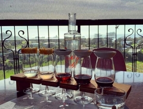 wine tasting glasses
